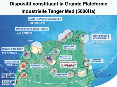 lemurs ecology and adaptation developments in primatology progress