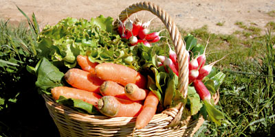 Agriculture biologique : le cadre légal se met en place