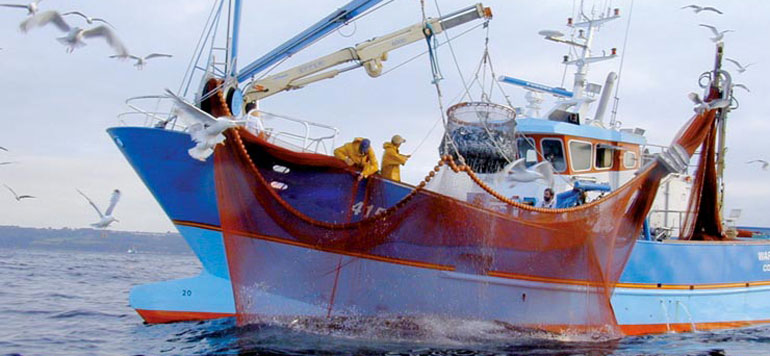 Evolution favorable de la pêche côtière et artisanale