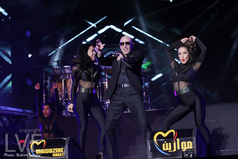 Pitbull-(14)