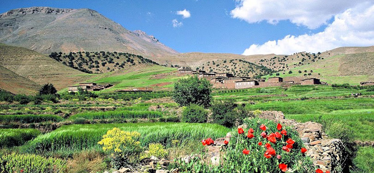 HCP – Tadla-Azilal: Depuis les années 2000, 75% des émigrants étaient des agriculteurs