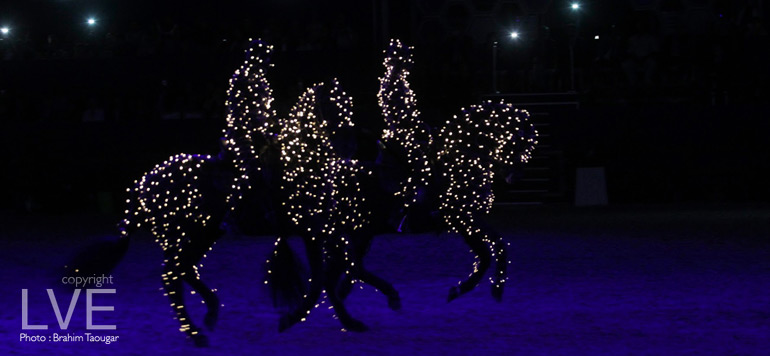 Diapo : spectacle haut en couleurs pour la 10e édition du Salon du Cheval