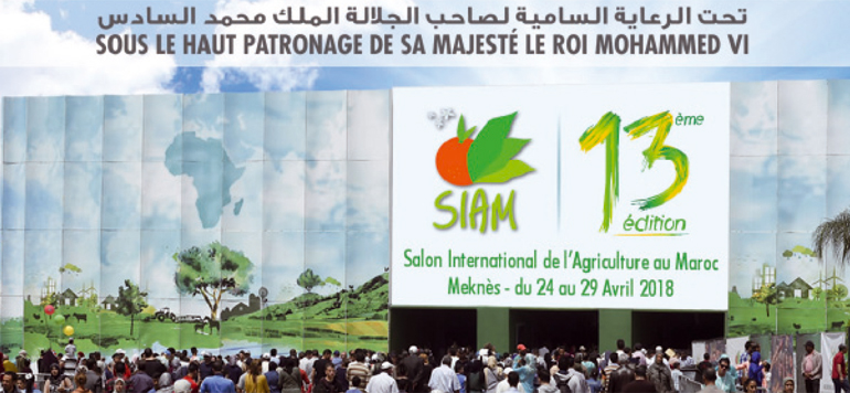rencontre meknes maroc