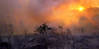 Incendie Feu Foret tanger 2012 07 17