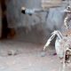 Les anciens bagnes 2015 06 29