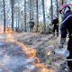 incendies de forets 2015 05 14