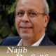 najib refaif 2013 02 27