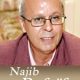 najib refaif 2013 07 10