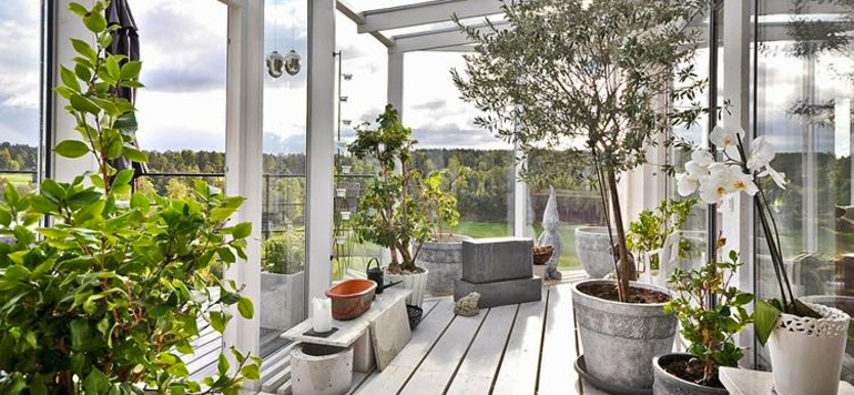 jardin hiver