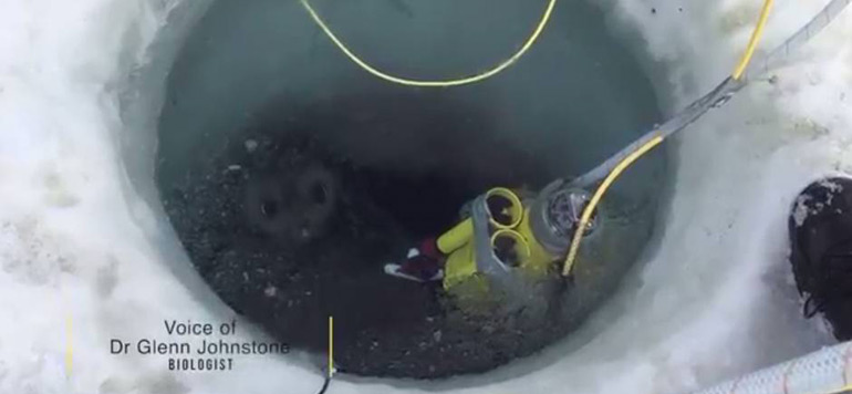 Robot glace en Antarctique