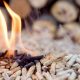 Energies vertes : la biomasse toujours sous-estimée
