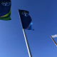 Bayer