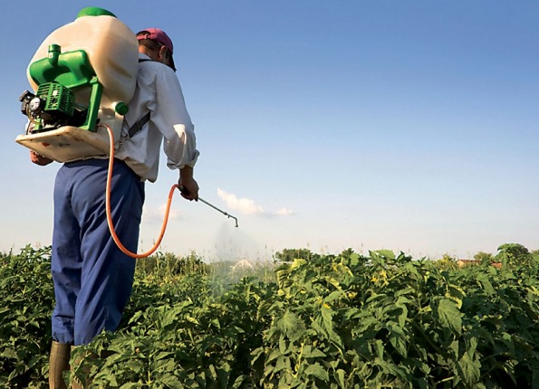 Pesticide